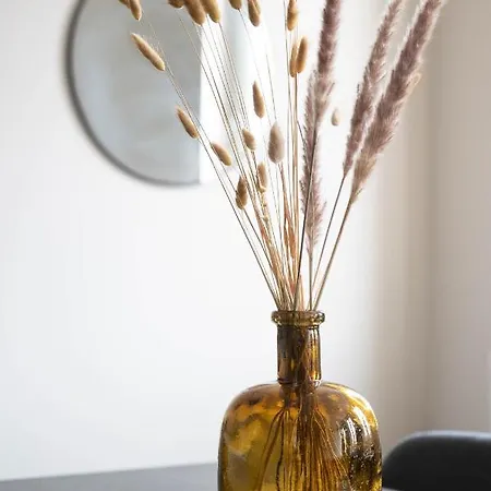 Yang - Calme Moderne Spacieux Et Tout équipé Appartement Toulouse